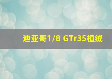 迪亚哥1/8 GTr35植绒